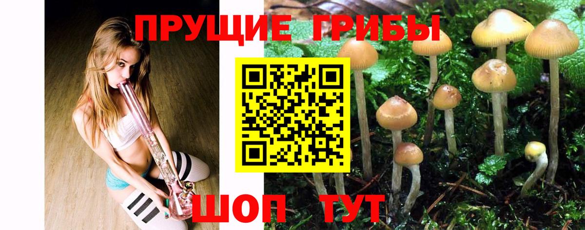 Кулебаки  Псилоцибиновые грибы Cubensis  Вход с VPN  Галлюциногенные грибы Cubensis 